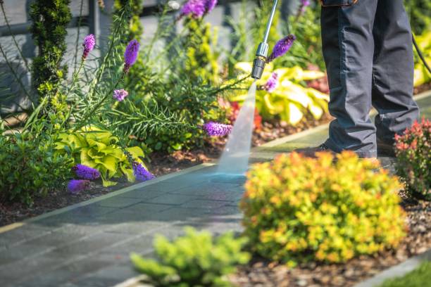 Best Patio and Deck Pressure Washing  in Eleanor, WV