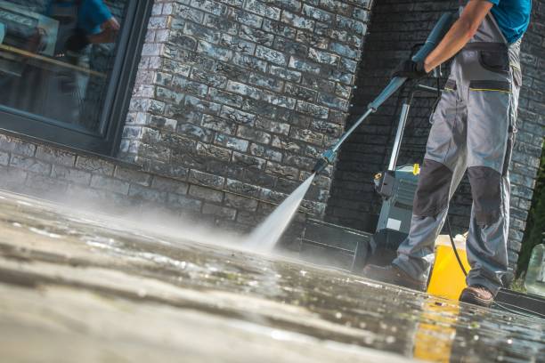 Best Pre-Holiday Cleaning  in Eleanor, WV
